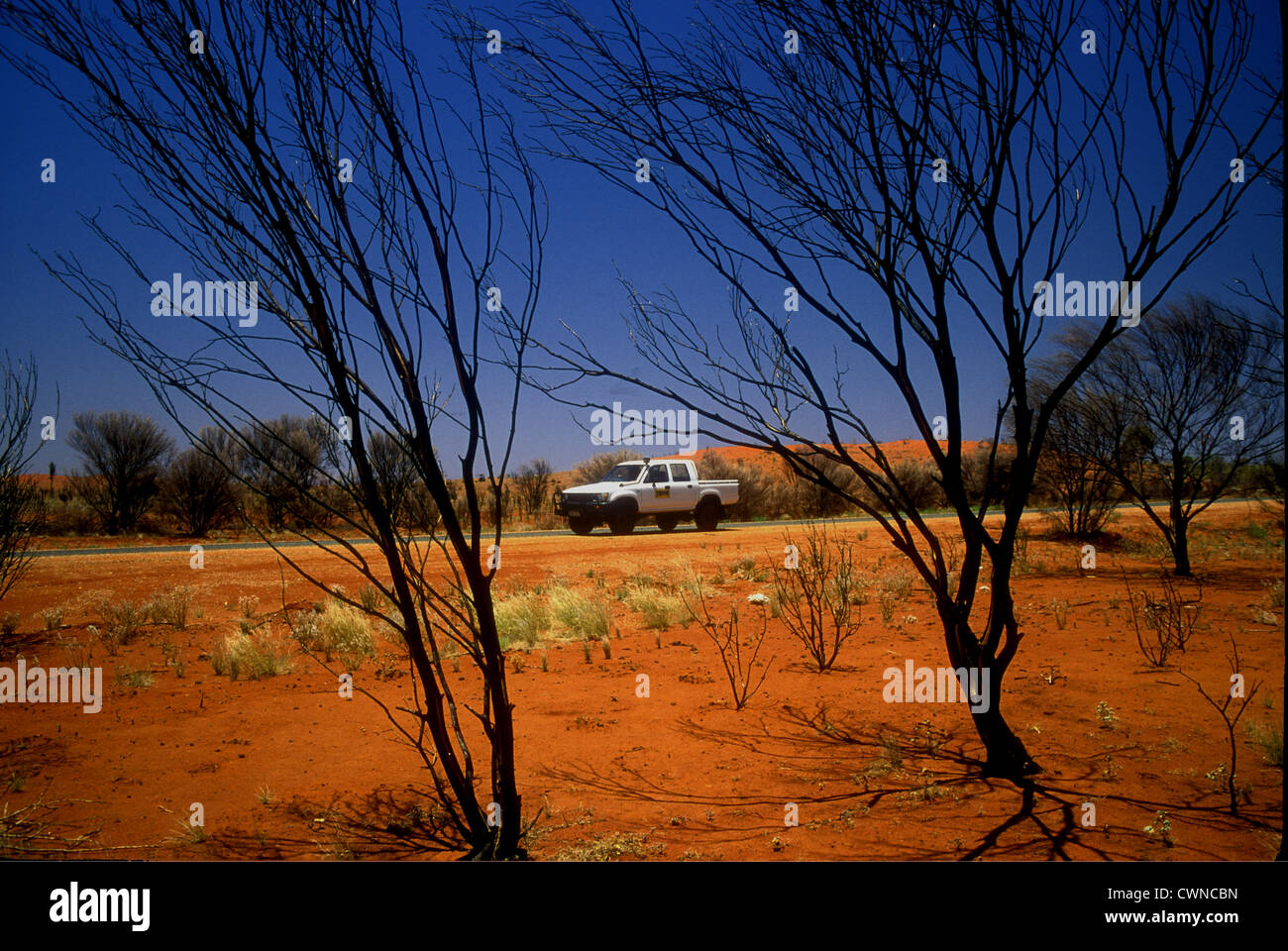 Coeur mort du centre de l'Australie avec des lits-cabine sur une route du désert Banque D'Images