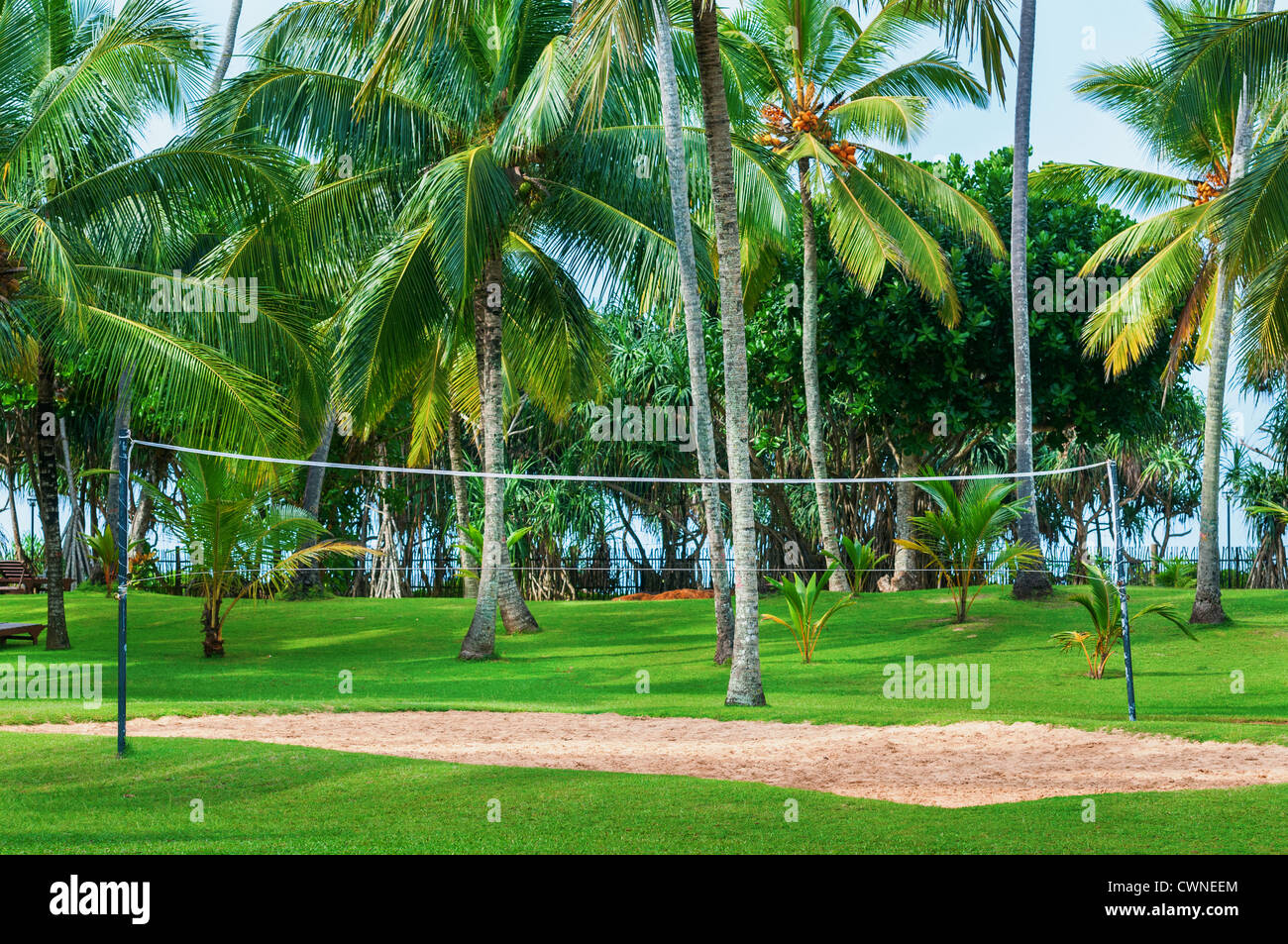 Centre de vacances tropicales avec volley-ball, de palmiers et d'herbe verte. L'accent sur le net. Banque D'Images