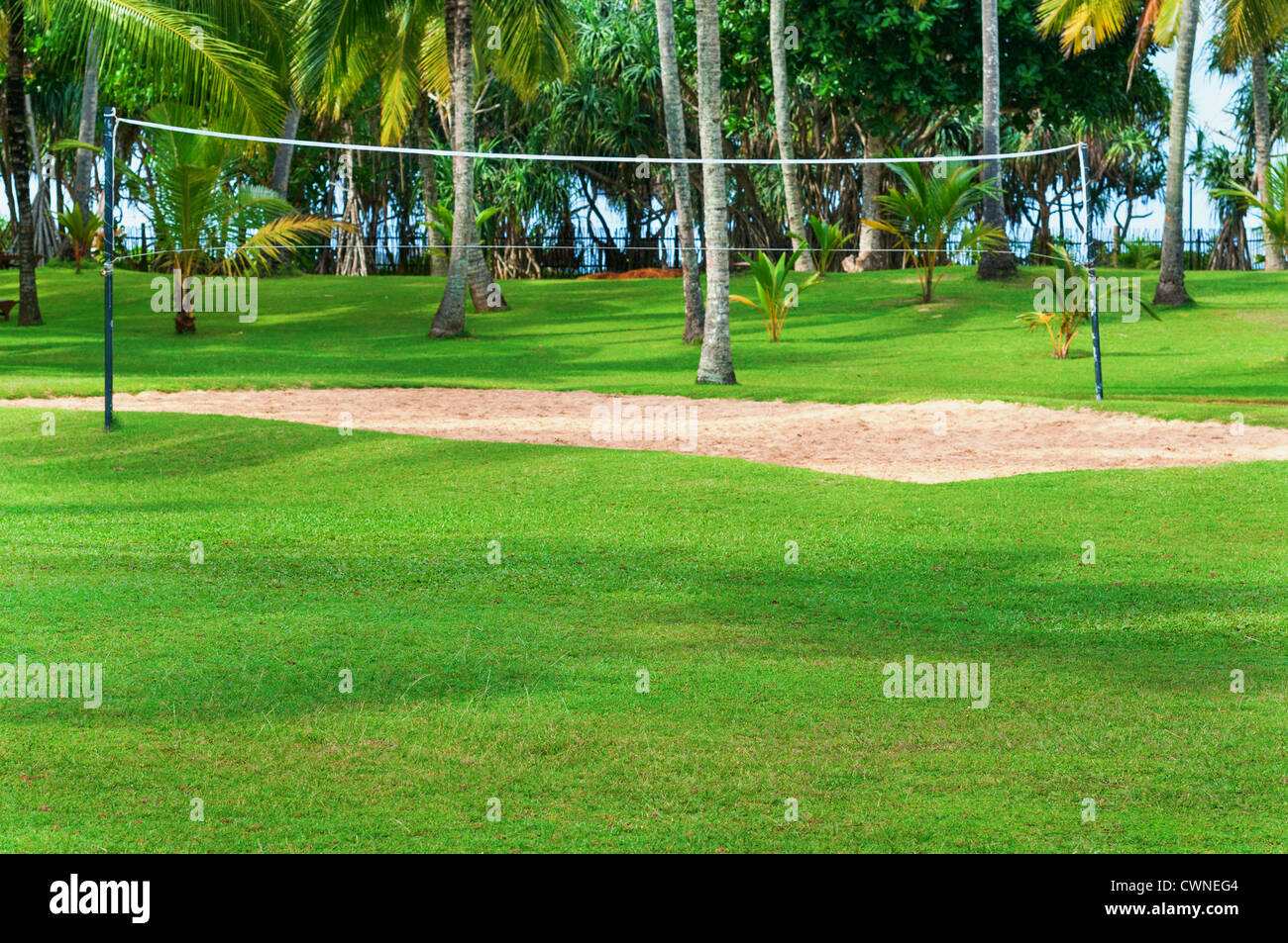Centre de vacances tropicales avec volley-ball, de palmiers et d'herbe verte. Se concentrer sur l'avant de l'herbe. Banque D'Images