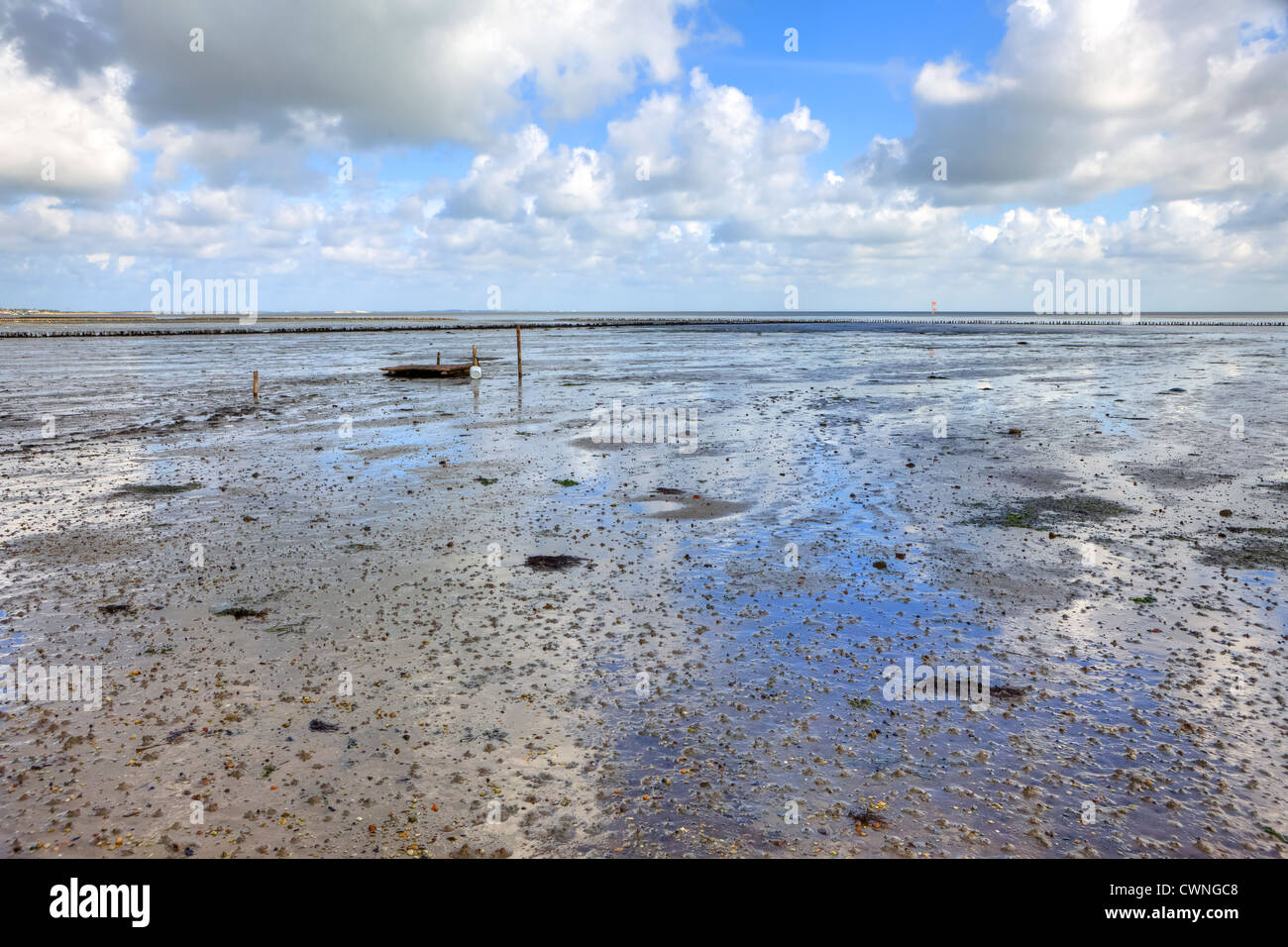 La mer des Wadden, brise-lames, Keitum, Sylt, Mer du Nord, Schleswig-Holstein, Allemagne Banque D'Images