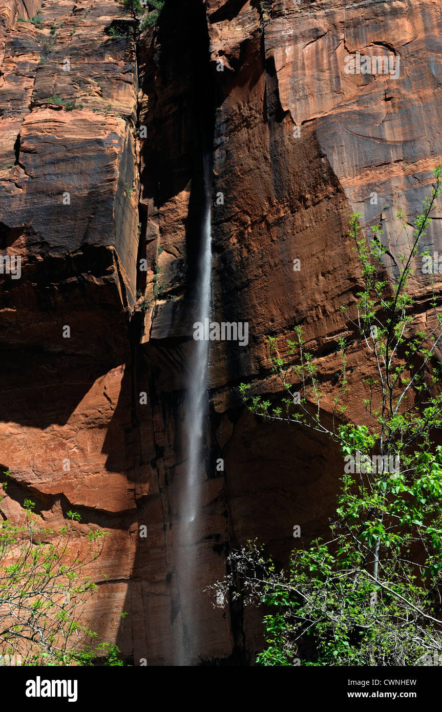 Cascade Falls gouttes plonge pieds 1000 Temple de Sinawava Zion Canyon Zion National Park Utah désert saisonniers Banque D'Images