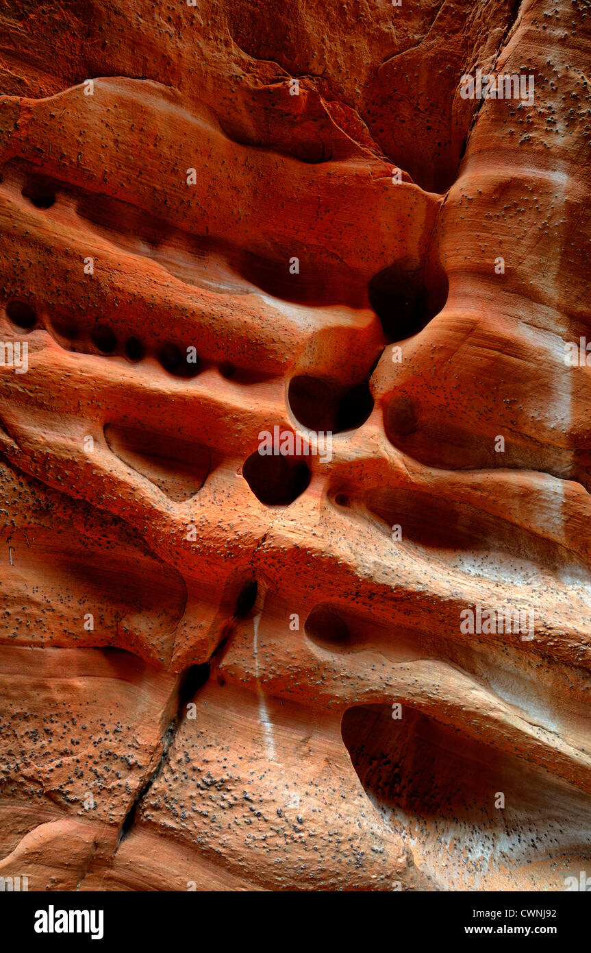 Rock formations marquages striation Peek a Boo slot canyon Grand Escalier Escalante National Monument Utah USA Banque D'Images