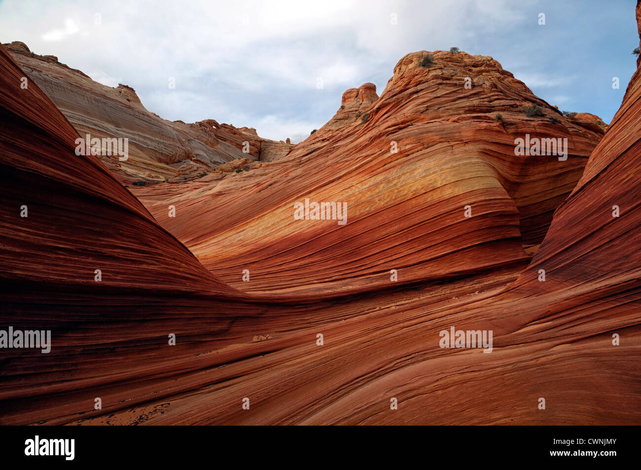 Formation de grès rouge tordu Rock La Vague North Coyote Buttes wilderness area paria de l'érosion de l'Utah geological Banque D'Images