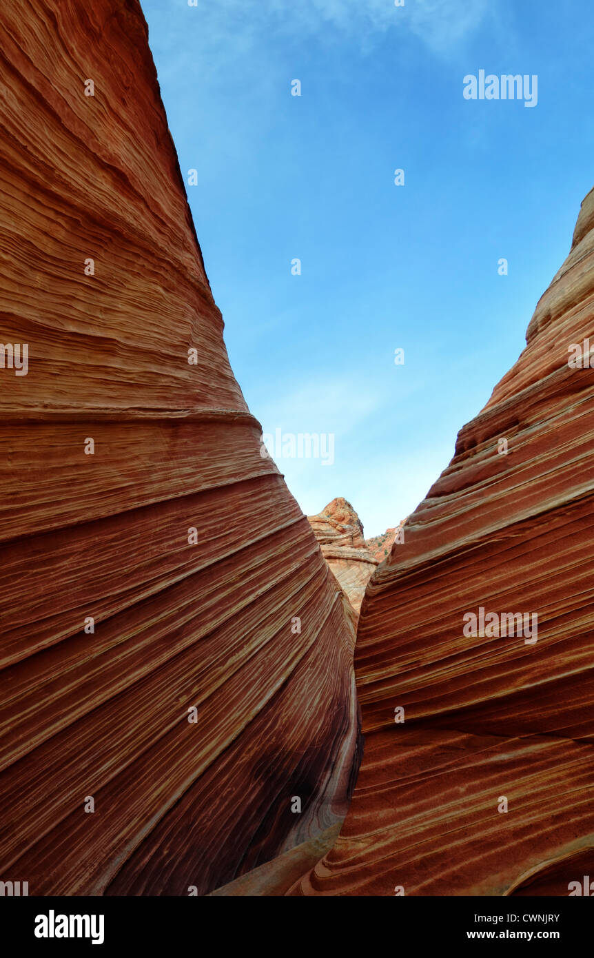 Formation de grès rouge tordu Rock La Vague North Coyote Buttes wilderness area paria de l'érosion de l'Utah geological Banque D'Images