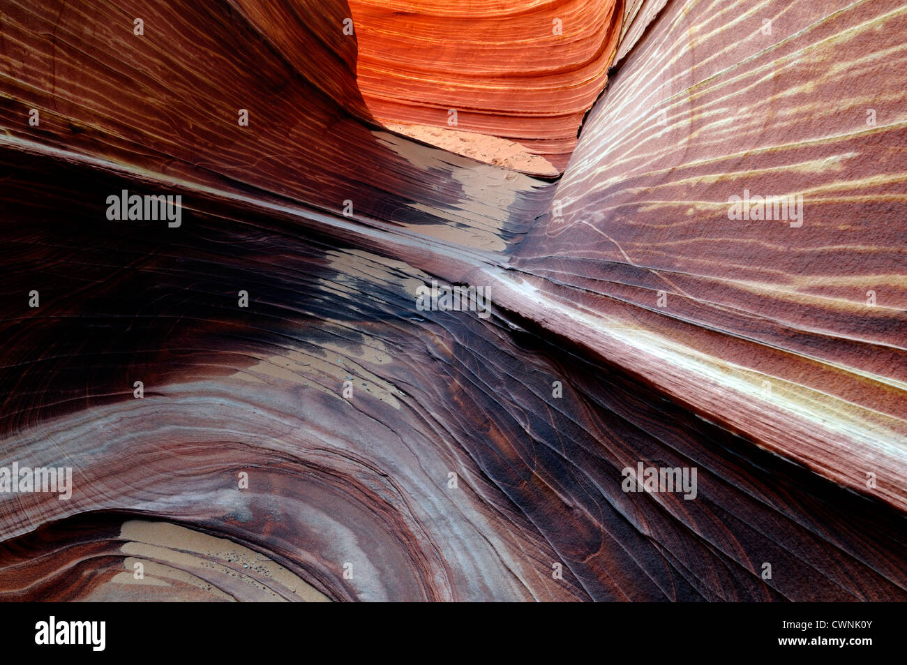 Formation de grès rouge tordu Rock La Vague North Coyote Buttes wilderness area paria de l'érosion de l'Utah geological Banque D'Images