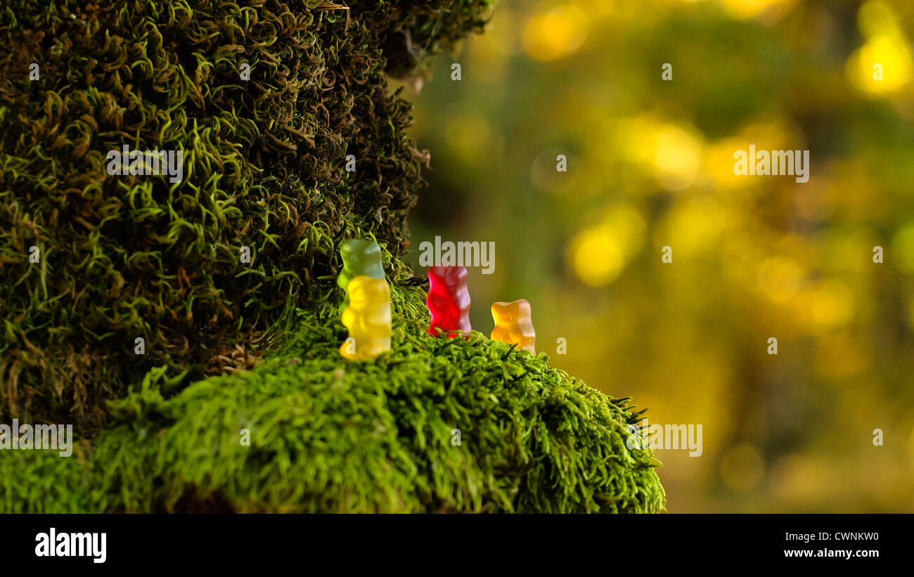 Haribo, ours gommeux sur de la mousse ! Banque D'Images