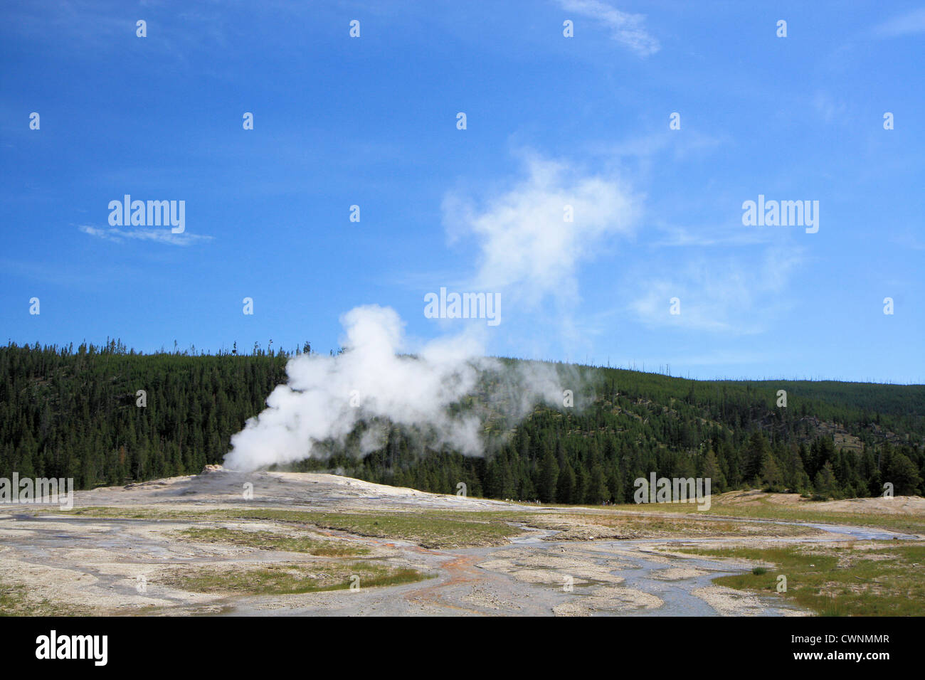 Old Faithful Geyser dans le parc national de Yellowstone, Wyoming, USA Banque D'Images