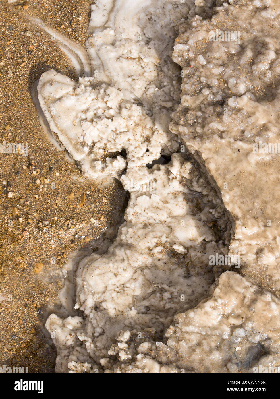 Les dépôts de sel sur une plage de la Mer Morte JORDANIE le mélange avec le sable Banque D'Images