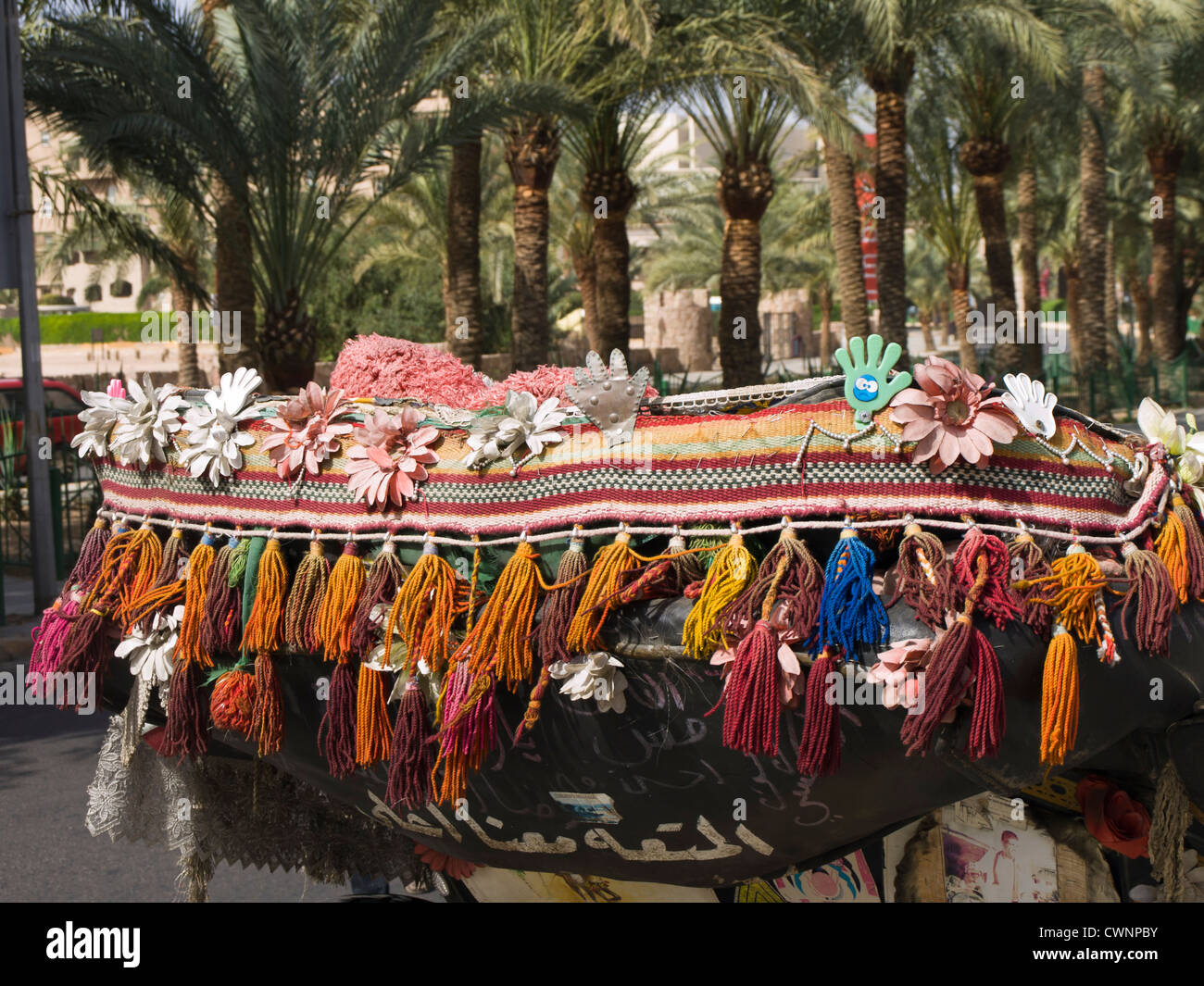 Détail d'un chariot ou transport pour visiter Aqaba Jordanie avec tissé, de glands et de fleurs en plastique Banque D'Images