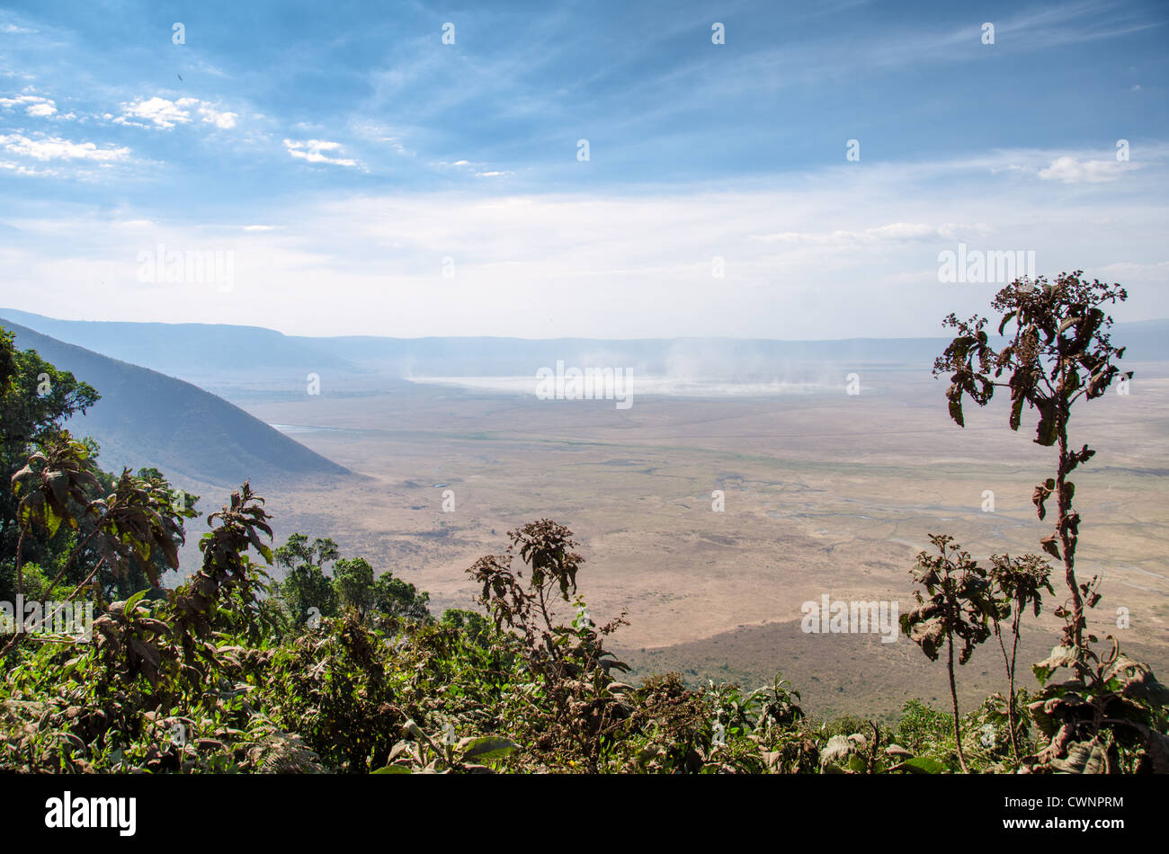 CRATÈRE NGORONGORO, Tanzanie — vue depuis le bord du cratère Ngorongoro dans la zone de conservation de Ngorongoro, qui fait partie du circuit nord de la Tanzanie de parcs nationaux et de réserves naturelles. Le cratère, formé par une caldeira volcanique effondrée il y a environ 2-3 millions d'années, s'étend sur environ 20 kilomètres de diamètre et est largement considéré comme l'une des principales destinations d'observation de la faune en Afrique. La zone de conservation englobe à la fois le cratère et les hautes terres environnantes, servant d’habitat essentiel à diverses espèces sauvages. Ngorongoro est désigné à la fois site du patrimoine mondial de l'UNESCO et CSNU Banque D'Images