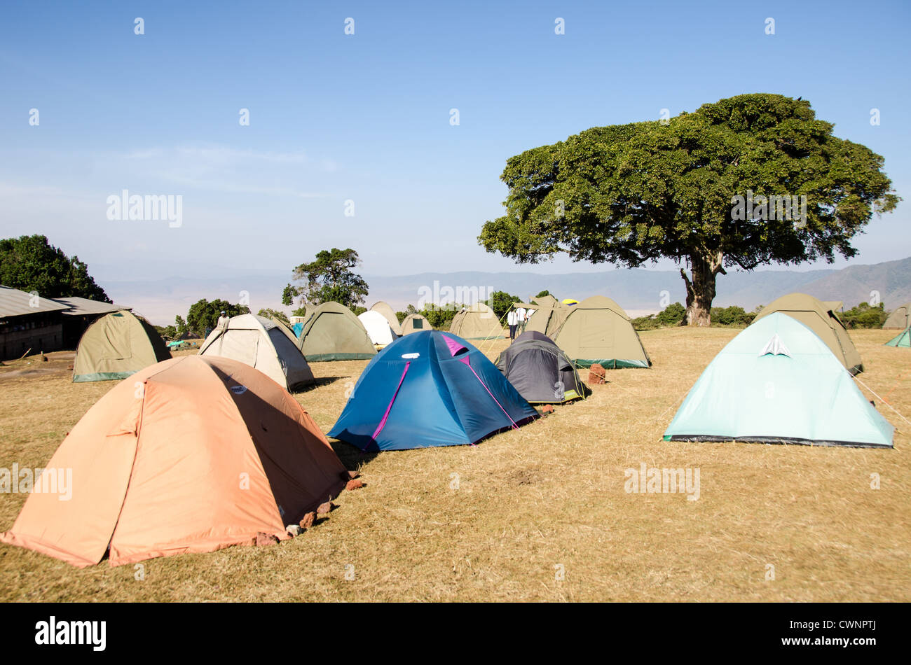 ZONE DE CONSERVATION DE NGORONGORO, Tanzanie - tentes au camping de Simba sur le bord du cratère de Ngorongoro dans la zone de conservation de Ngorongoro, qui fait partie du circuit nord de la Tanzanie de parcs nationaux et de réserves naturelles. Le cratère de Ngorongoro, site classé au patrimoine mondial de l'UNESCO, est une vaste caldeira volcanique dans le nord de la Tanzanie. Créé il y a 2-3 millions d'années, il mesure environ 20 kilomètres de diamètre et abrite une faune variée, y compris les animaux de jeu des « Big Five ». La zone de conservation de Ngorongoro, habitée par les Maasai, contient également d'importants sites archéologiques comme la gorge d'Olduvai Banque D'Images