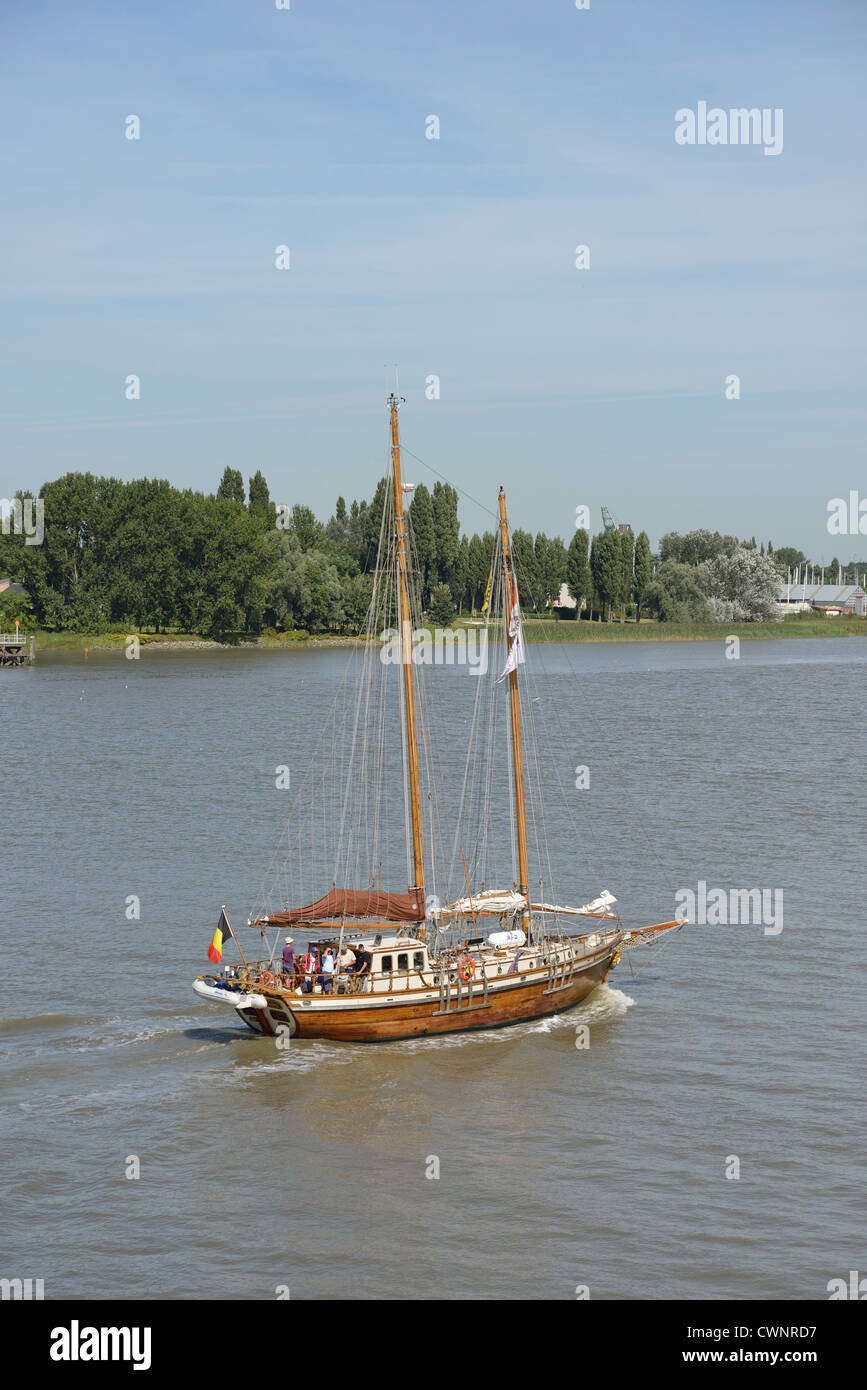 La voile en bois sur la rivière Escaut ketch, Anvers, Anvers Province, Région flamande, Belgique Banque D'Images