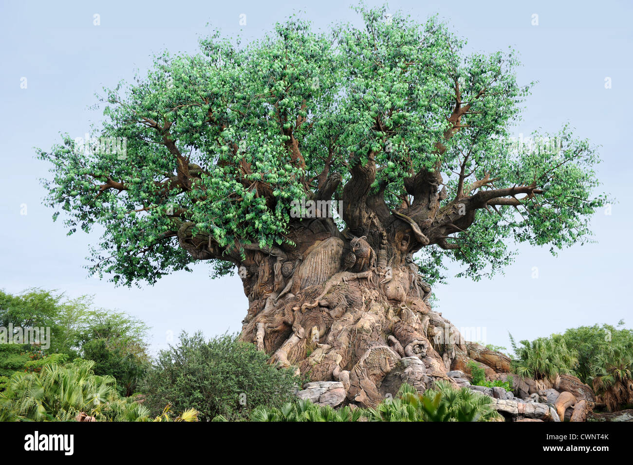 ORLANDO, FLORIDE - 05 juin 2012 : l'arbre de la vie au Royaume des Animaux de Disne Banque D'Images