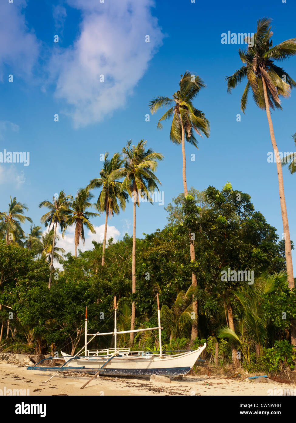 Paysage Tropical beach, El Nido, Philippines. Banque D'Images