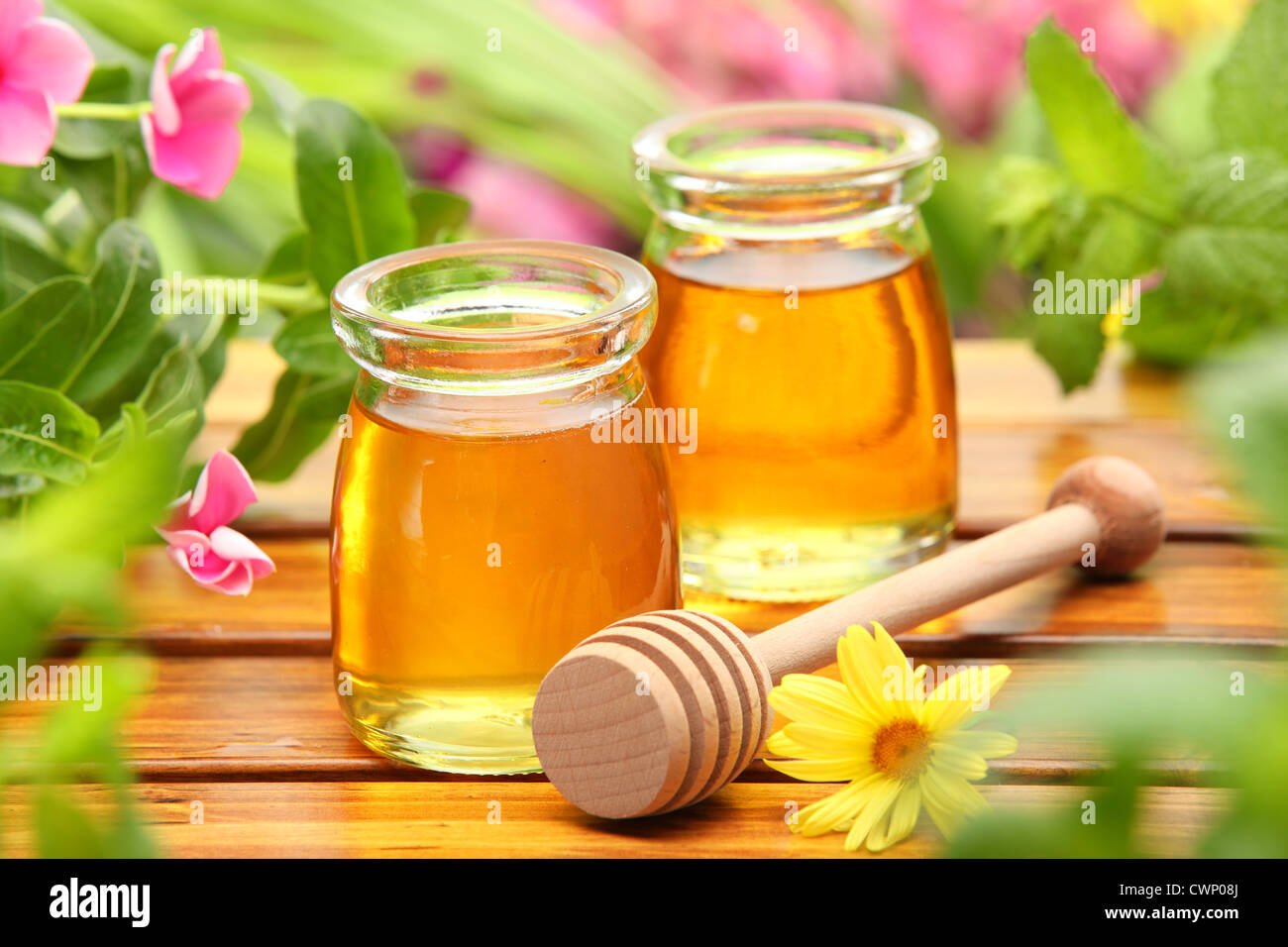 Le miel en pots de verre avec des fleurs. Banque D'Images