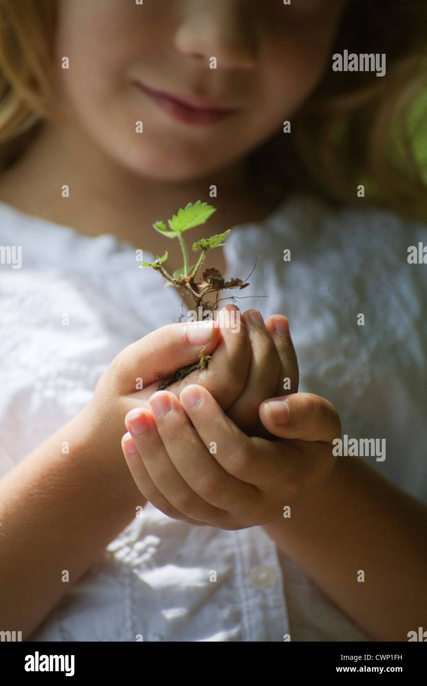 Girl holding seedling, cropped Banque D'Images