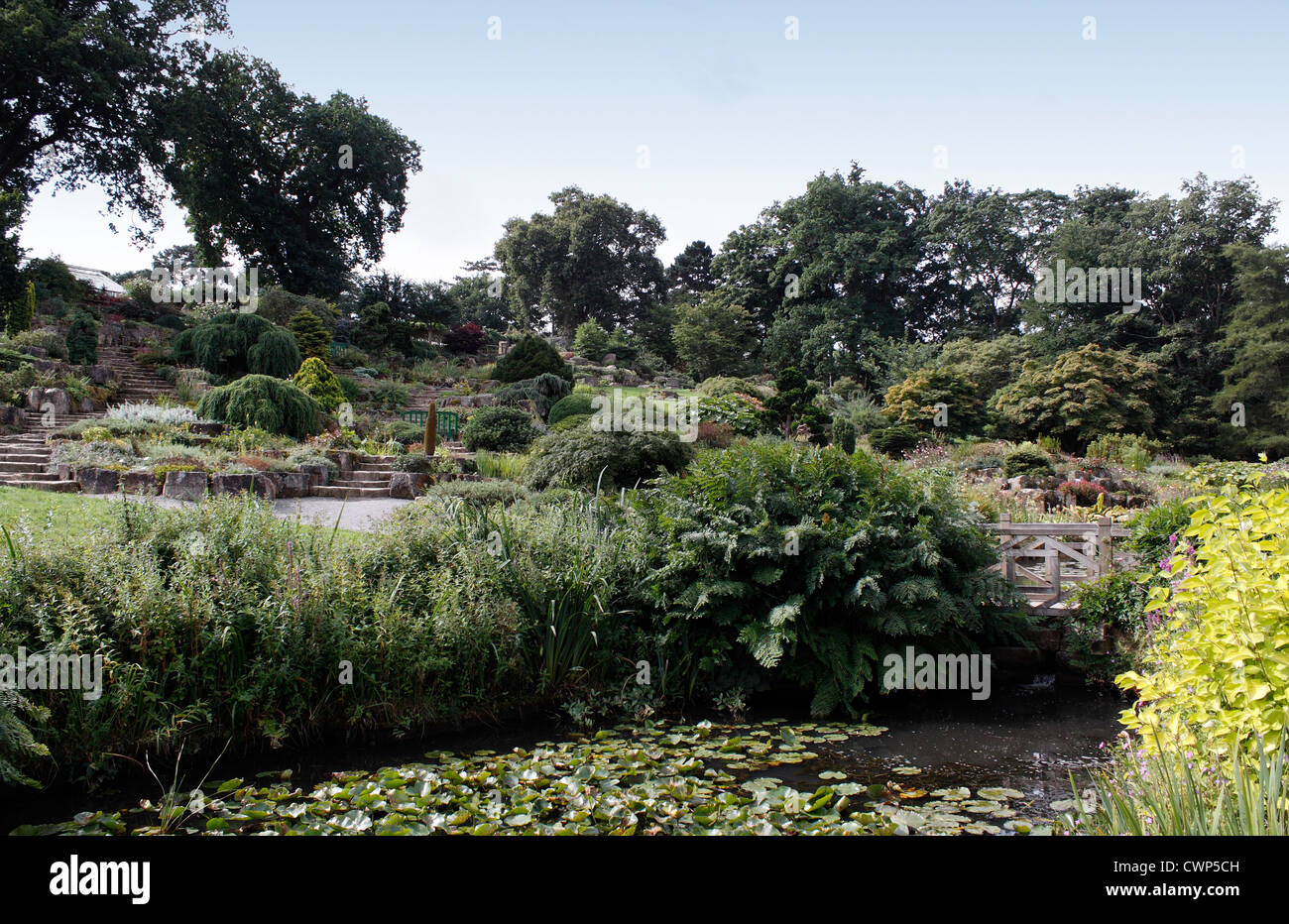 La terrasse du jardin de ROCHE À RHS WISLEY Banque D'Images
