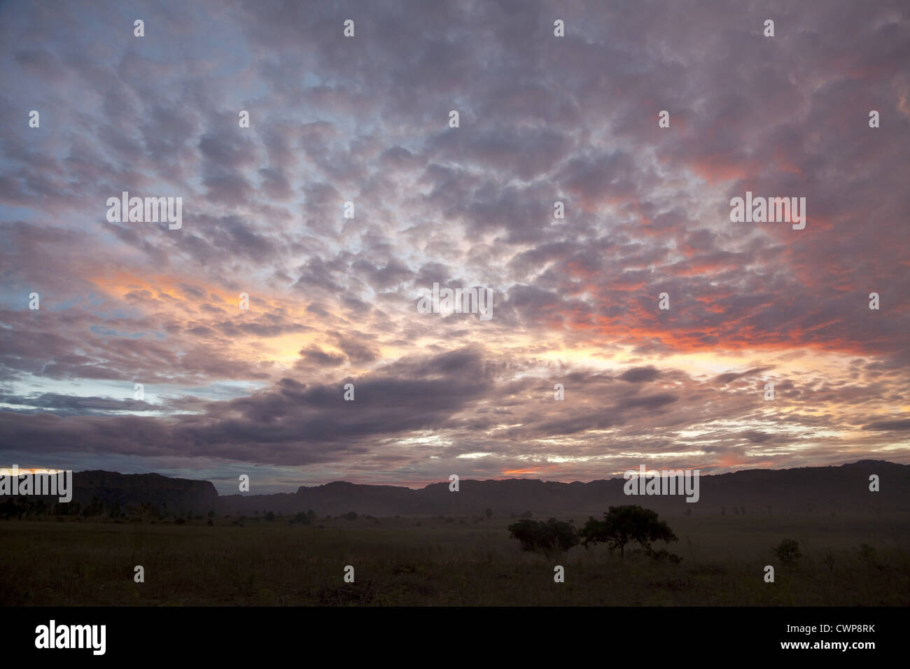 Coucher de soleil sur l'habitat des prairies, l'Isalo N.P., Région Ihorombe, Madagascar Banque D'Images