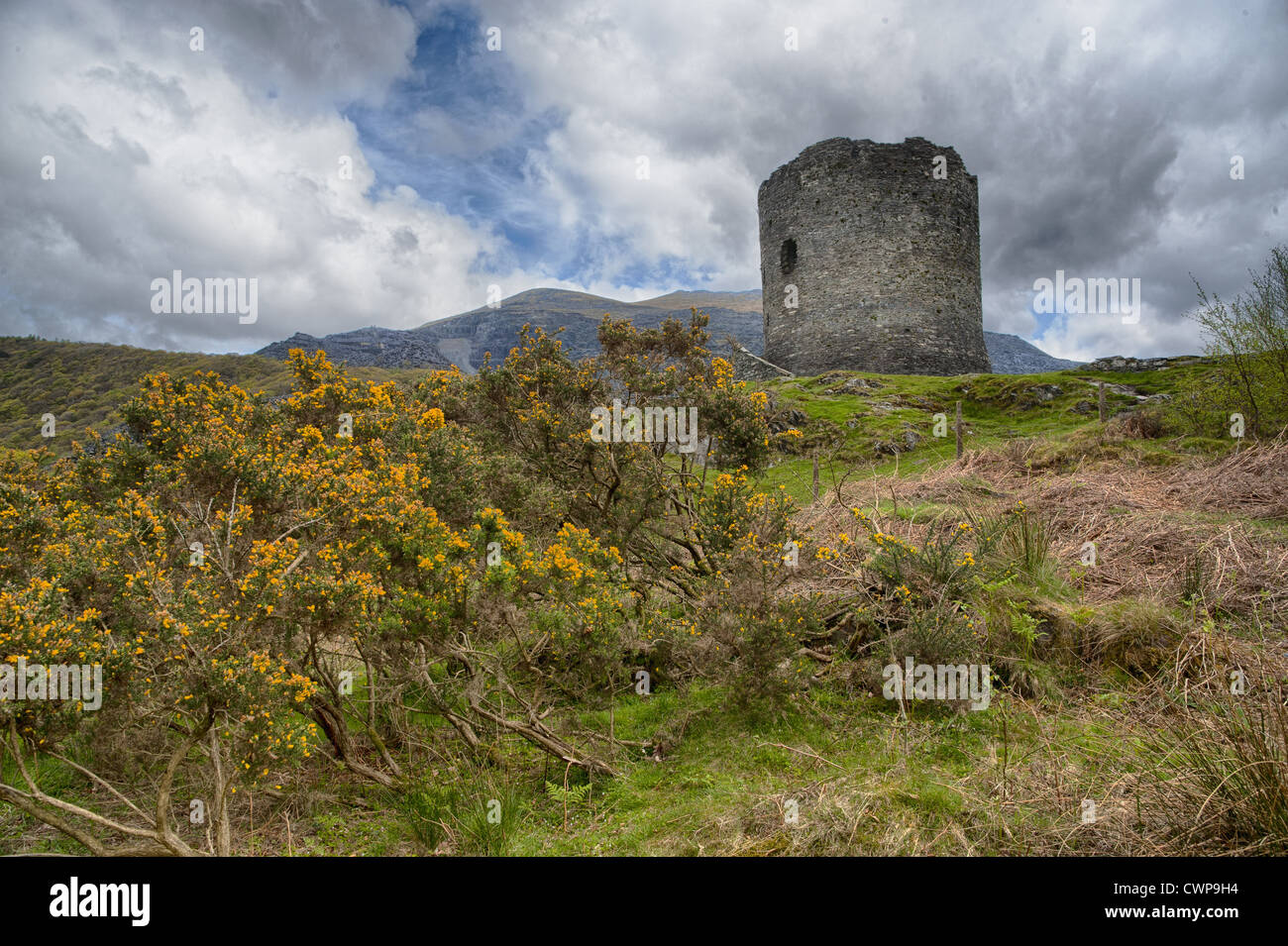 Château du xiiie siècle en ruine, le château de Dolbadarn à garder, Llanberis Pass, Snowdonia, N.P., au nord du Pays de Galles, mai Banque D'Images