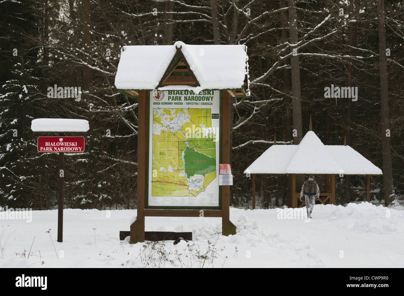 'Bialowieski Park Narodowy' panneau d'entrée et de l'information dans la neige, Bialowieza N.P., Podlaskie Voivodeship, Pologne, Banque D'Images