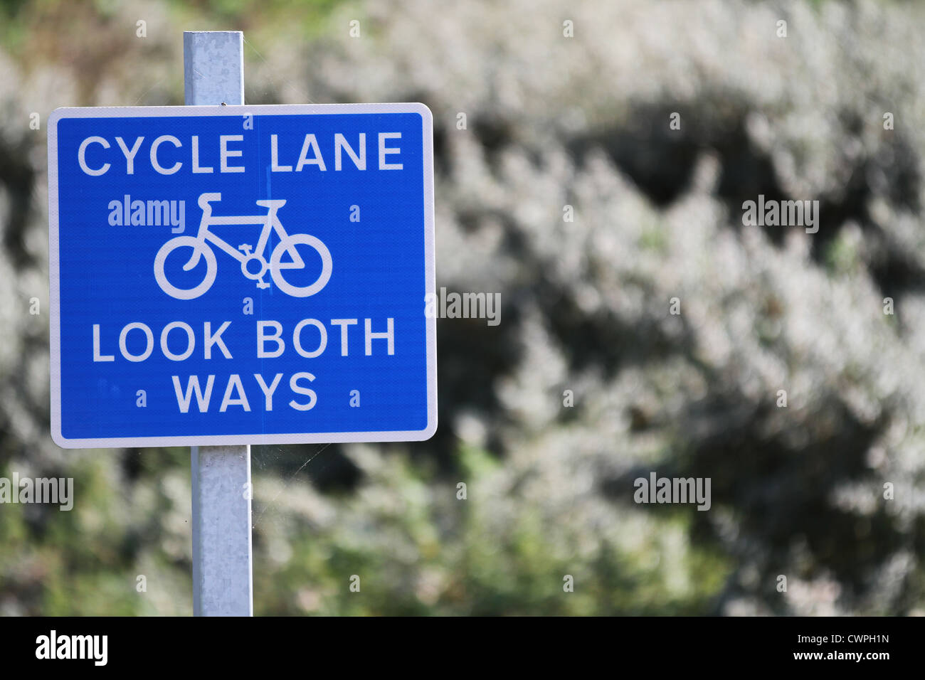 Cycle Path Sign Regardez des deux côtés voie cyclable Panneau Bleu Banque D'Images