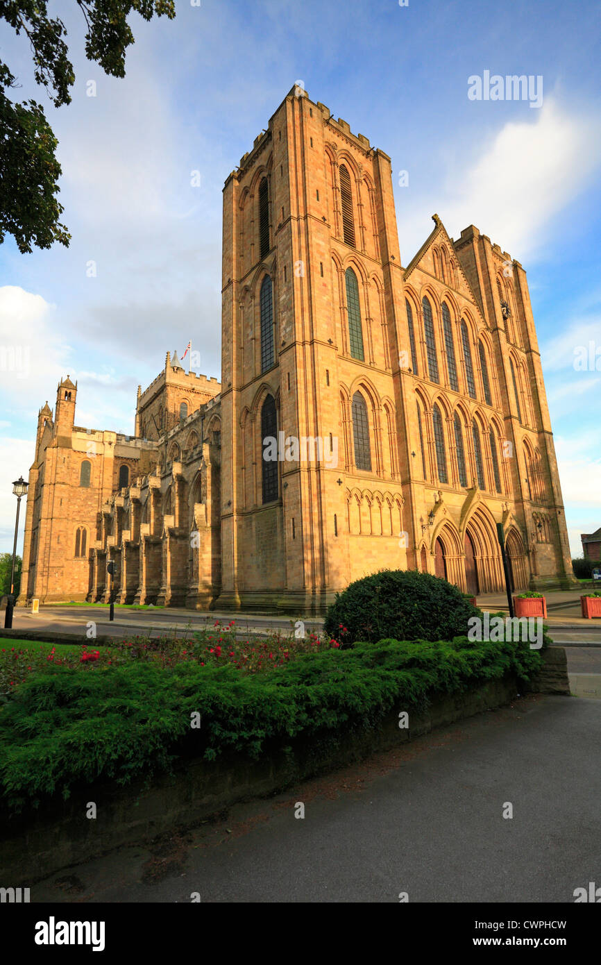La cathédrale de Ripon dans la lumière du soleil du soir, Ripon, North Yorkshire, Angleterre, Royaume-Uni. Banque D'Images