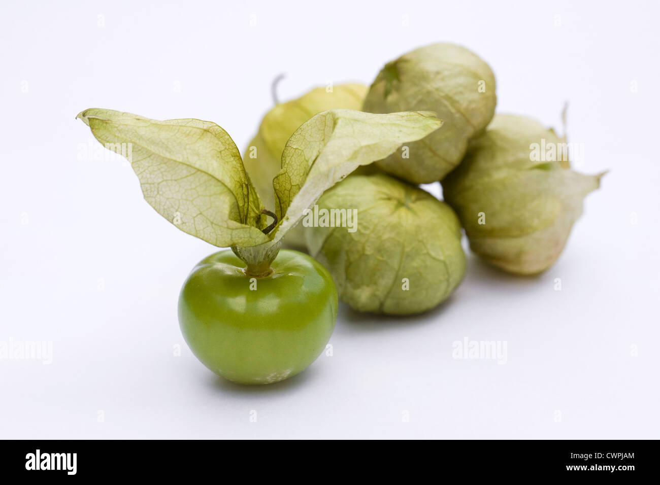 Physalis philadelphica. Tomatille fruit sur un fond blanc. Banque D'Images