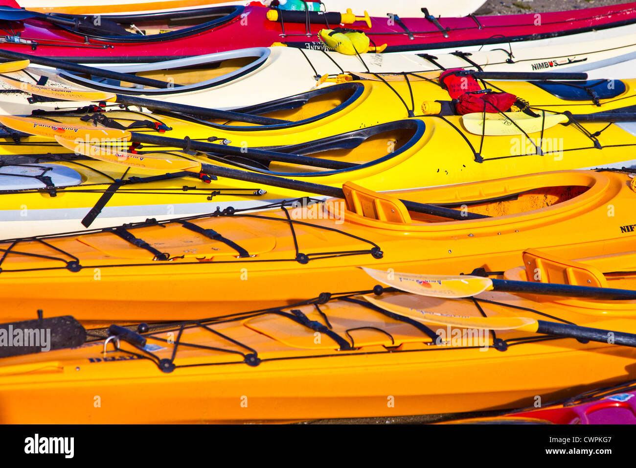 Image abstraite de kayaks alignés pour une collecte de fonds pour la recherche sur le cancer. Banque D'Images