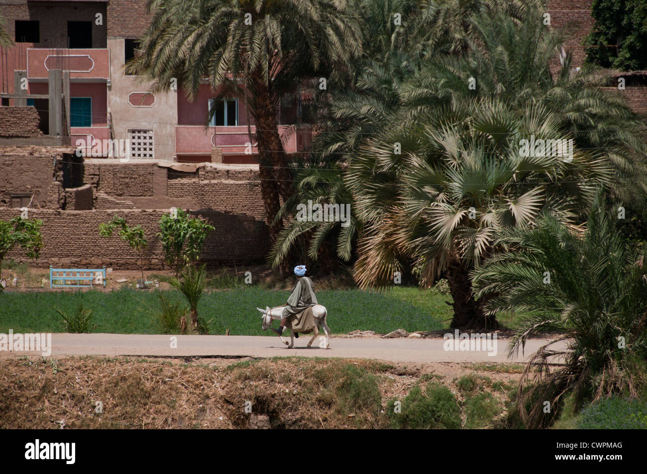 Campagne égyptienne Egypte le long du Nil entre Louxor et Assouan Banque D'Images