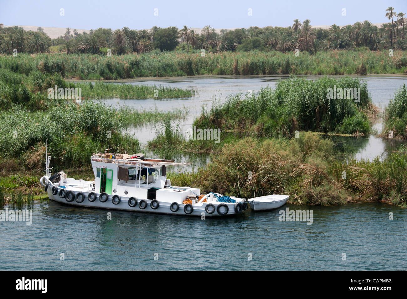 Marais Nil entre Assouan et Louxor en Égypte Banque D'Images