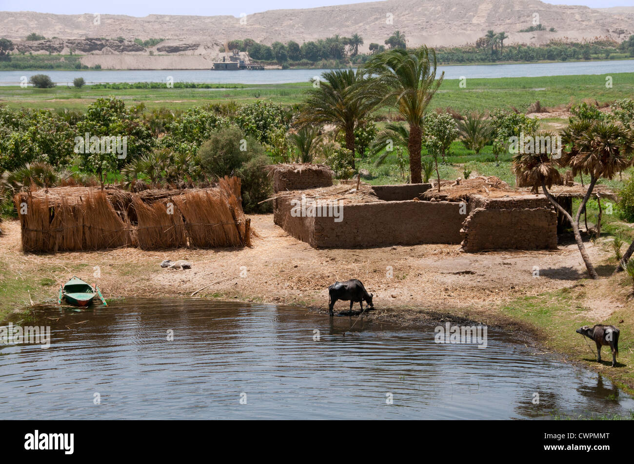 Décor traditionnel le long du Nil entre Louxor et Assouan Banque D'Images