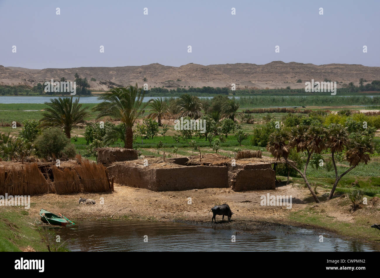Les terres agricoles le long du Nil entre Louxor et Assouan Banque D'Images