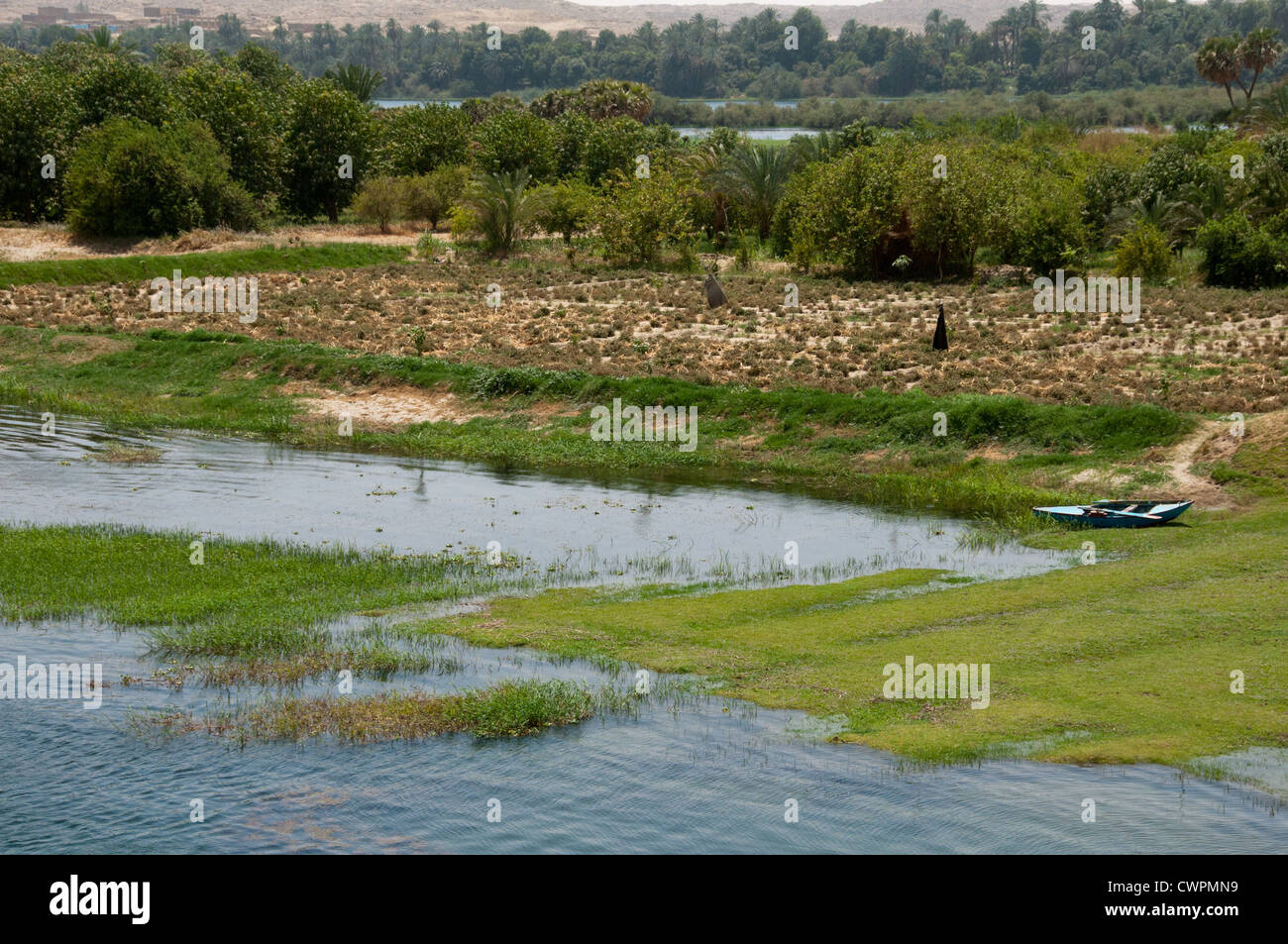Les terres agricoles de la vallée du Nil Egypte Banque D'Images