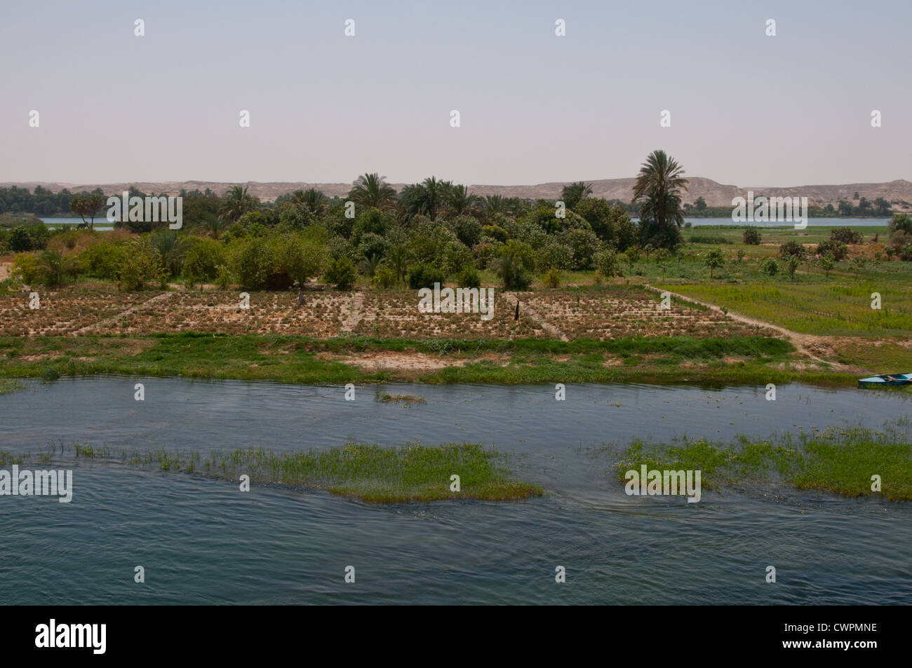 Les terres agricoles le long du Nil, entre Louxor et Assouan en Egypte Banque D'Images