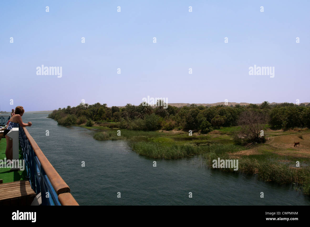 Bateau de croisière sur le Nil entre Louxor et Assouan Banque D'Images