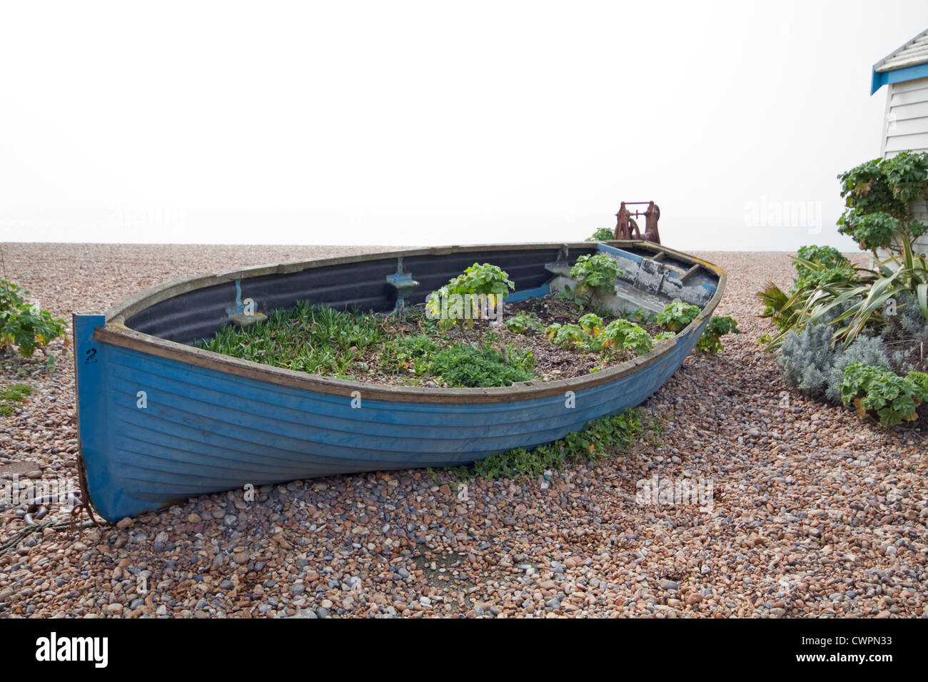 Une vieille barque bleu désaffecté maintenant utilisé comme un lit de fleur  en Hastings East Sussex Photo Stock - Alamy