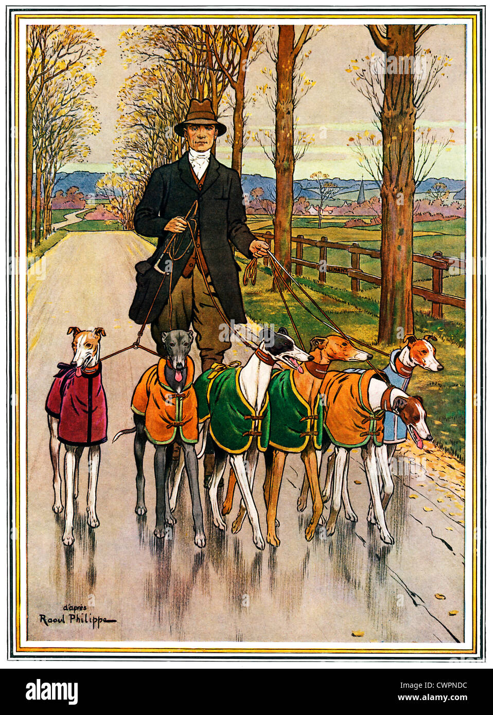 Lévriers lors de l'exercice, Edwardian illustration d'une collection prisée de lévriers, manteau, à marcher dans un chemin de campagne Banque D'Images