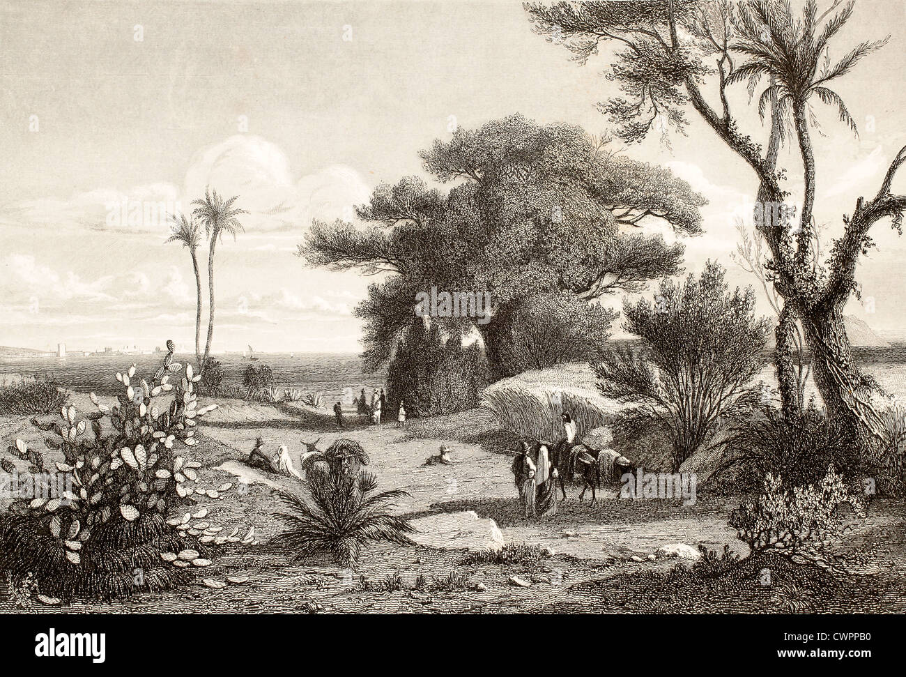 Environs de Marsala, Italie Banque D'Images