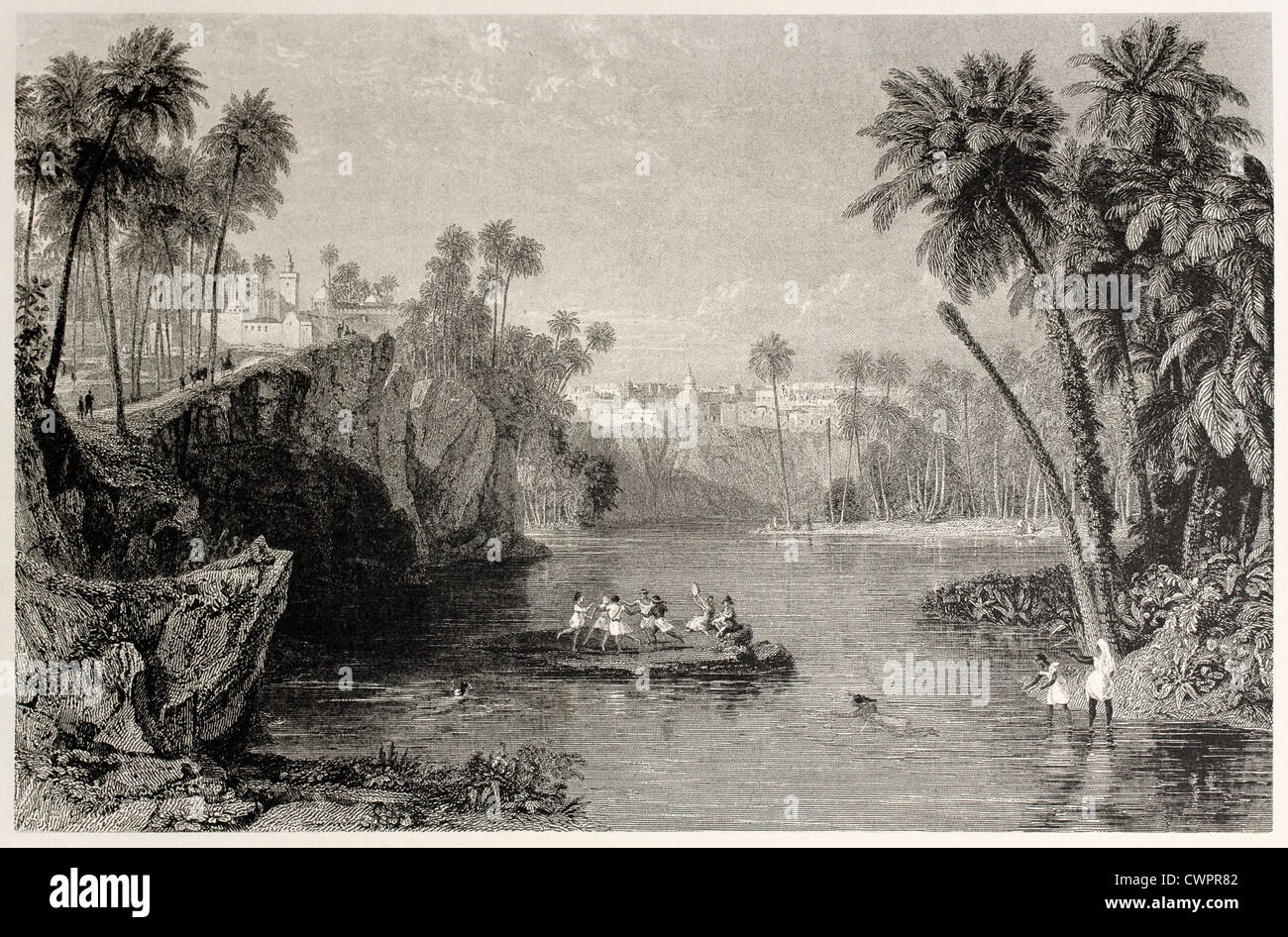 Oasis de l'ALENA, Tunisie Banque D'Images