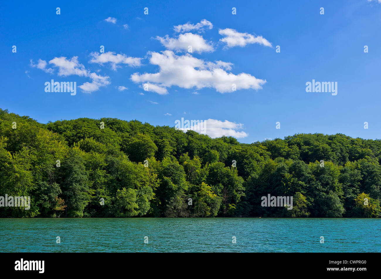 Beau terrain arboré lakeside sous ciel nuageux ciel bleu. Banque D'Images