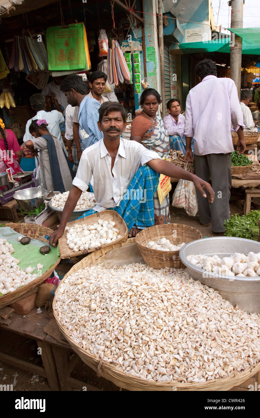 L'Inde, le Tamil Nadu, Tiruvannamalai, centre-ville, le bazar, l'ail dans le vendeur de légumes du marché Banque D'Images