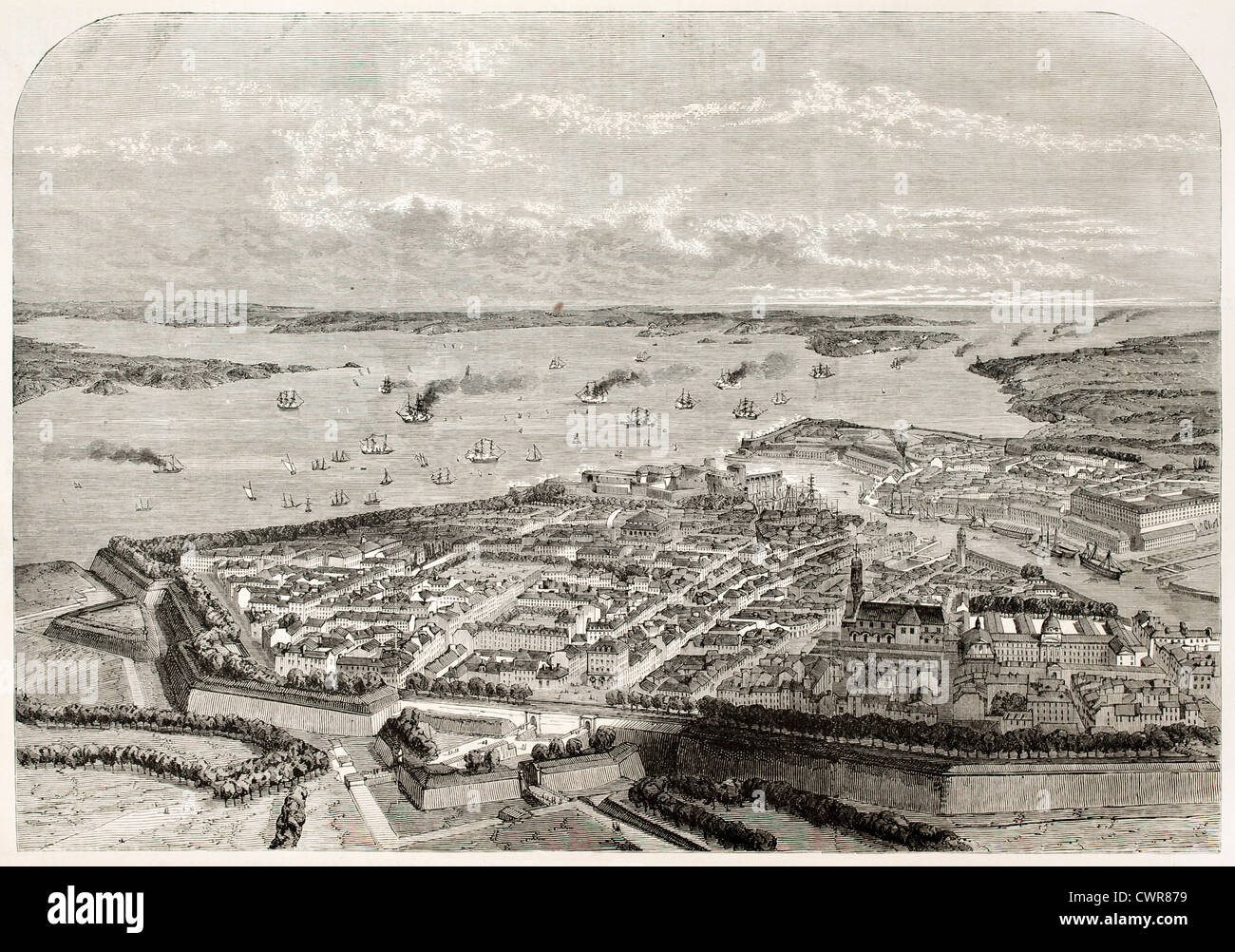 Brest vieille d'oiseau Banque D'Images