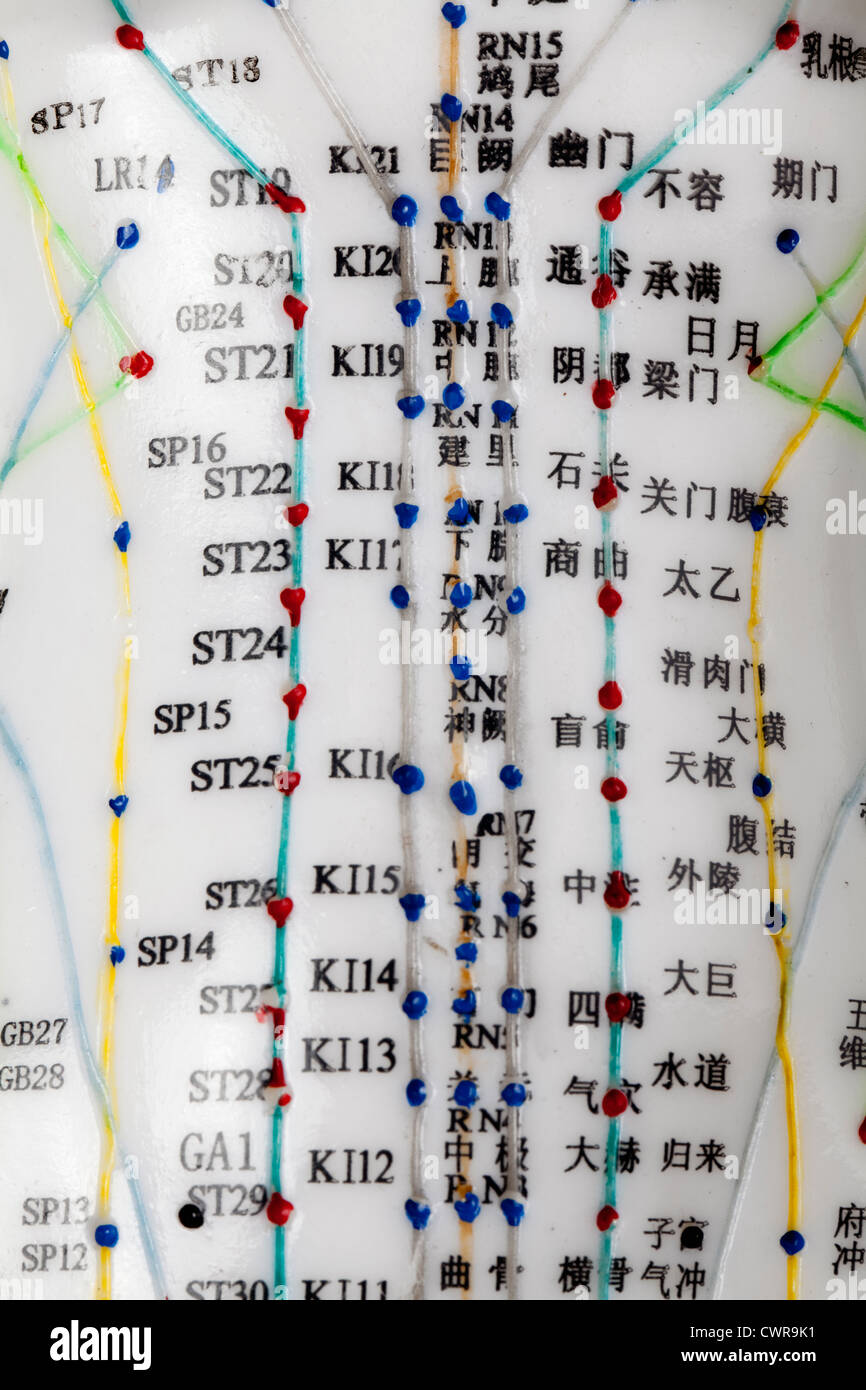 Un modèle féminin avec des points d'acuponcture, les caractères chinois sur les méridiens, la médecine traditionnelle chinoise Banque D'Images