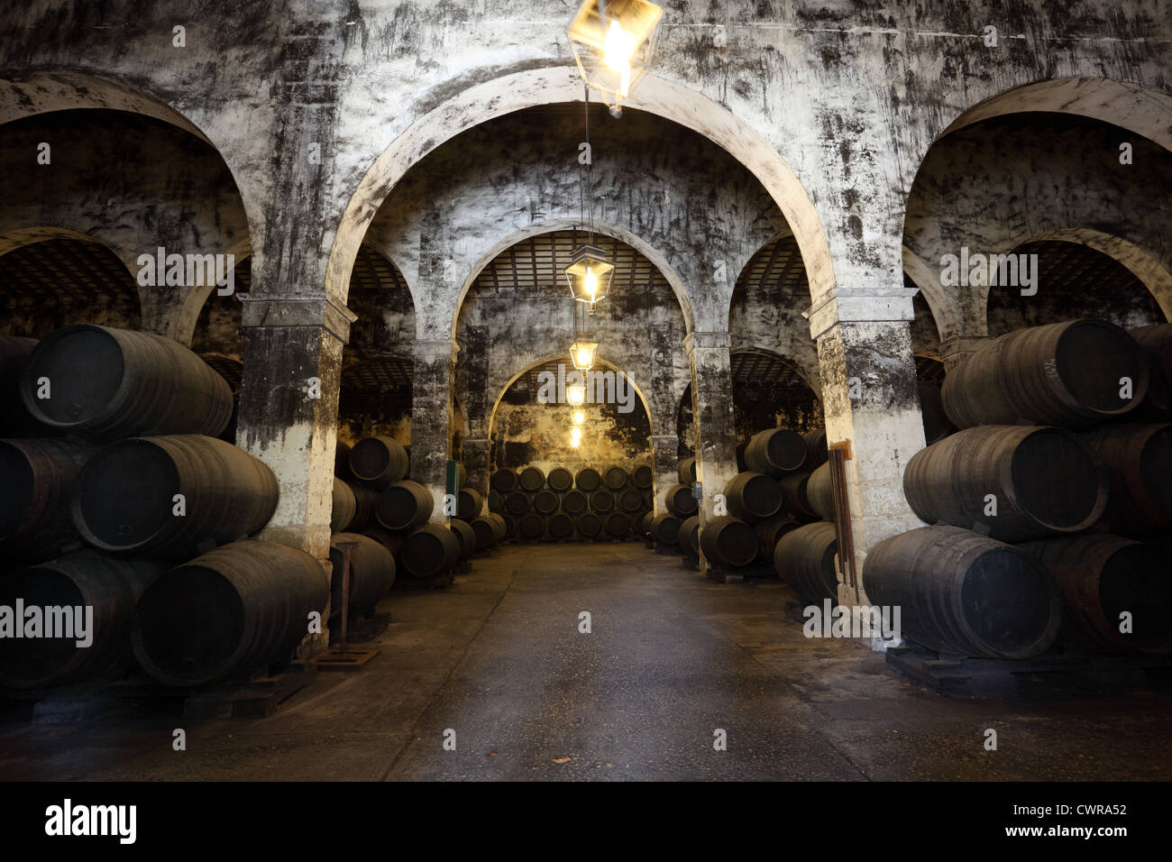 L'ancienne cave à vin avec des tonneaux de vin en bois Banque D'Images