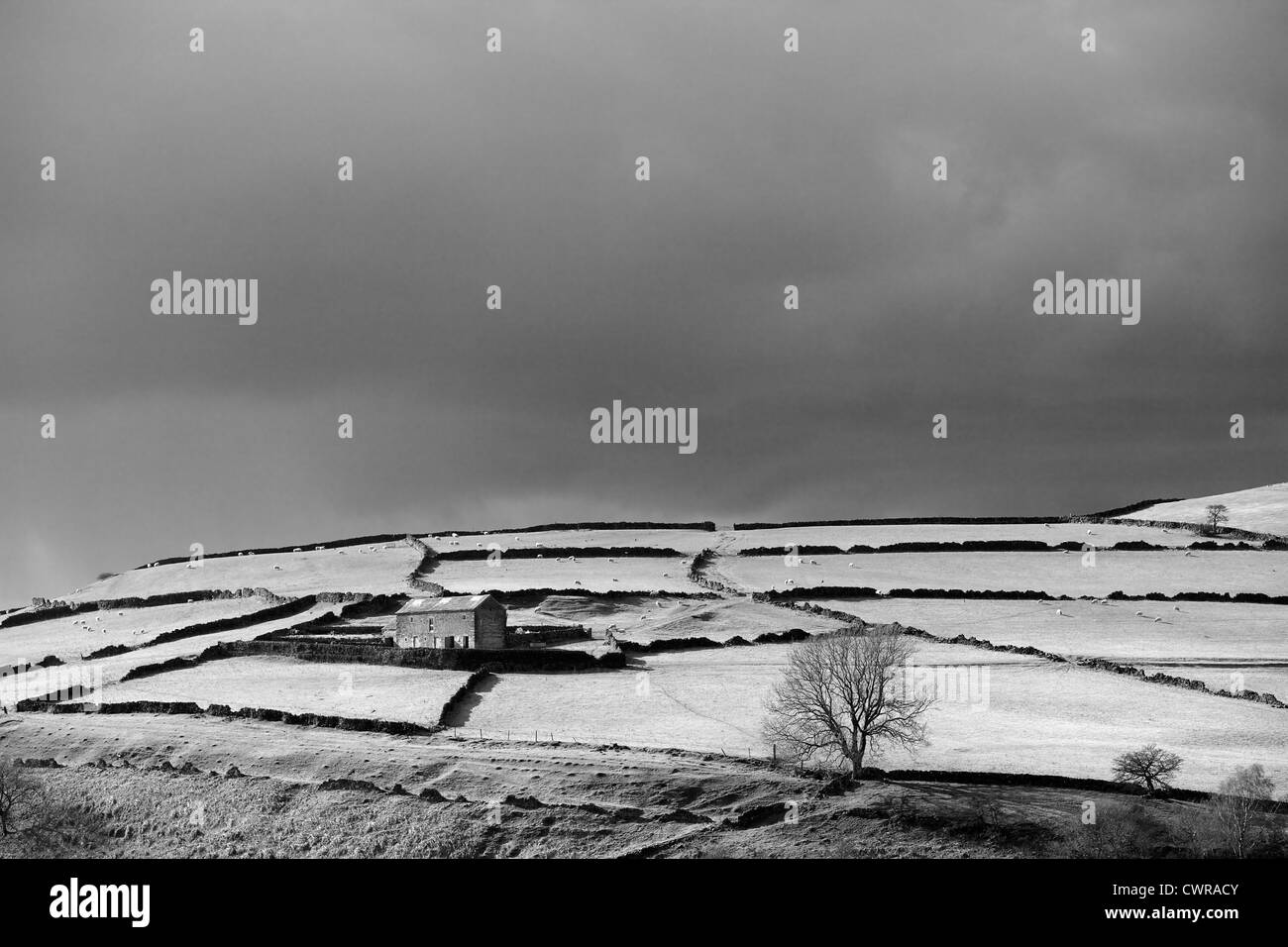 Vue d'une ferme dans le Peak District avec des murs en pierre sur une colline herbeuse et un ciel maussade et sombre Banque D'Images