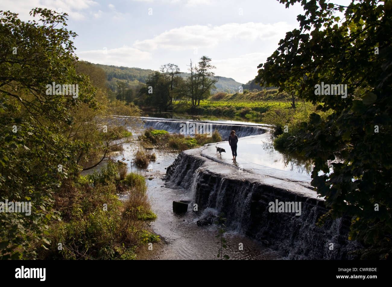 Femme marche avec chien à travers Warleigh Weir sur la rivière Avon Banque D'Images