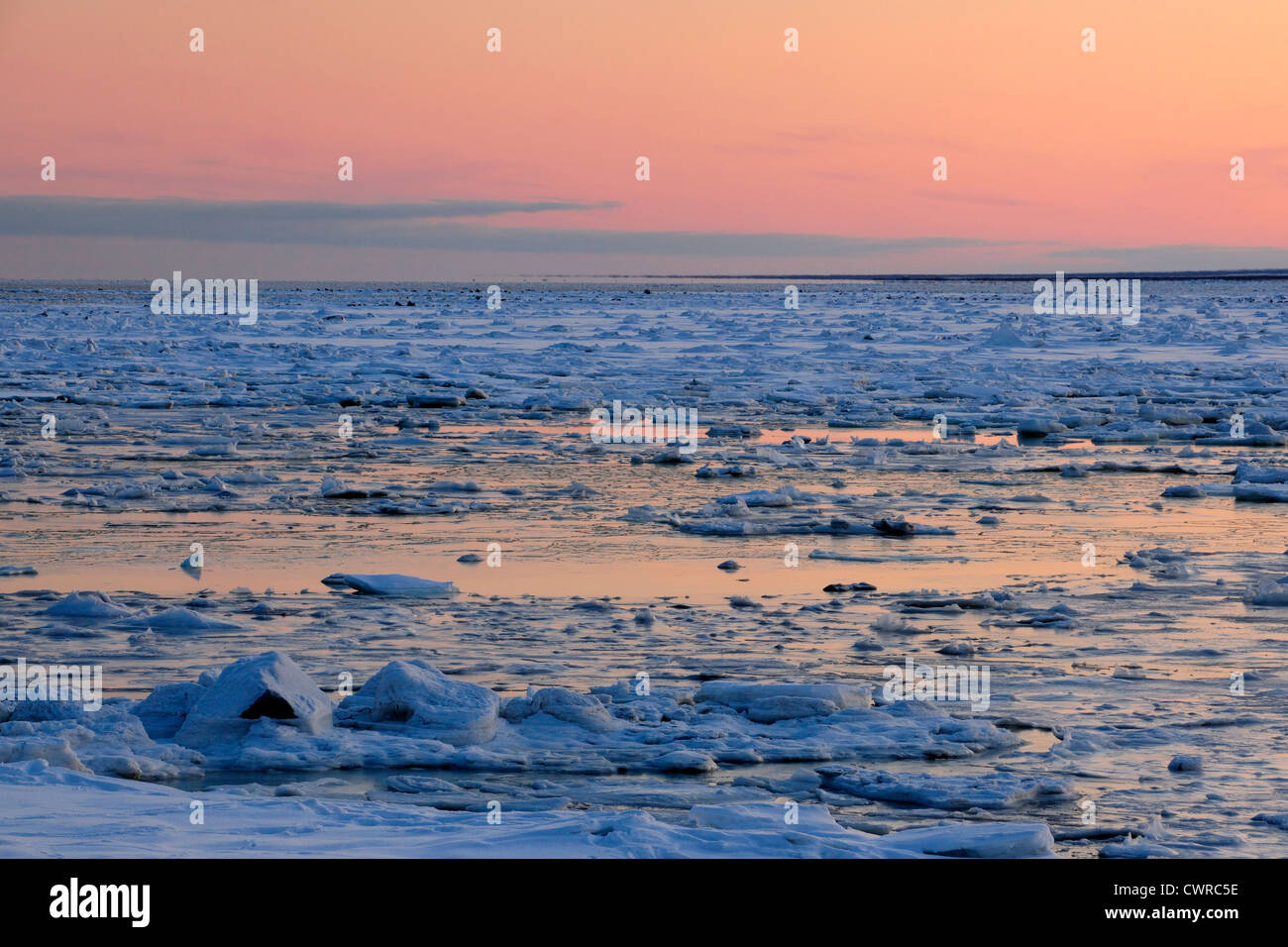 Coucher de soleil sur les basses terres de la Baie d'Hudson au début de l'hiver, Seal River Heritage Lodge, Churchill, Manitoba, Canada Banque D'Images