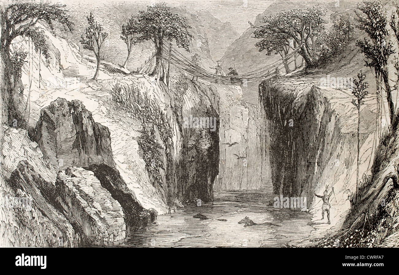 Pont de liane Banque D'Images