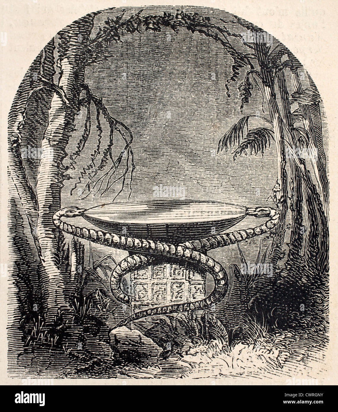 Pierre sacrificielle dans la jungle d'Amérique centrale Banque D'Images