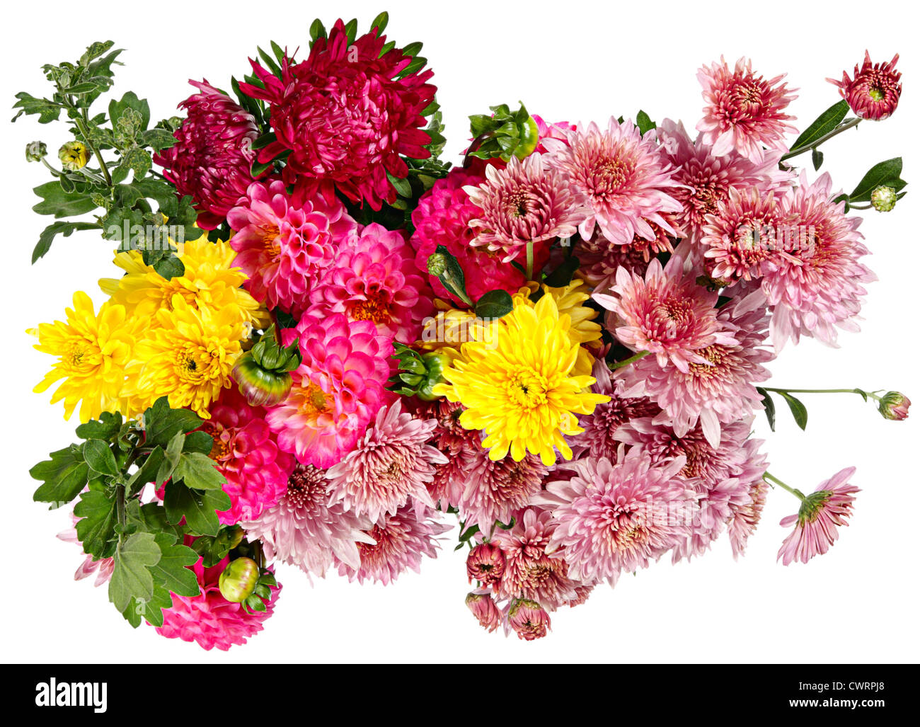 Excellent bouquet de fleurs d'automne isolated on white Banque D'Images